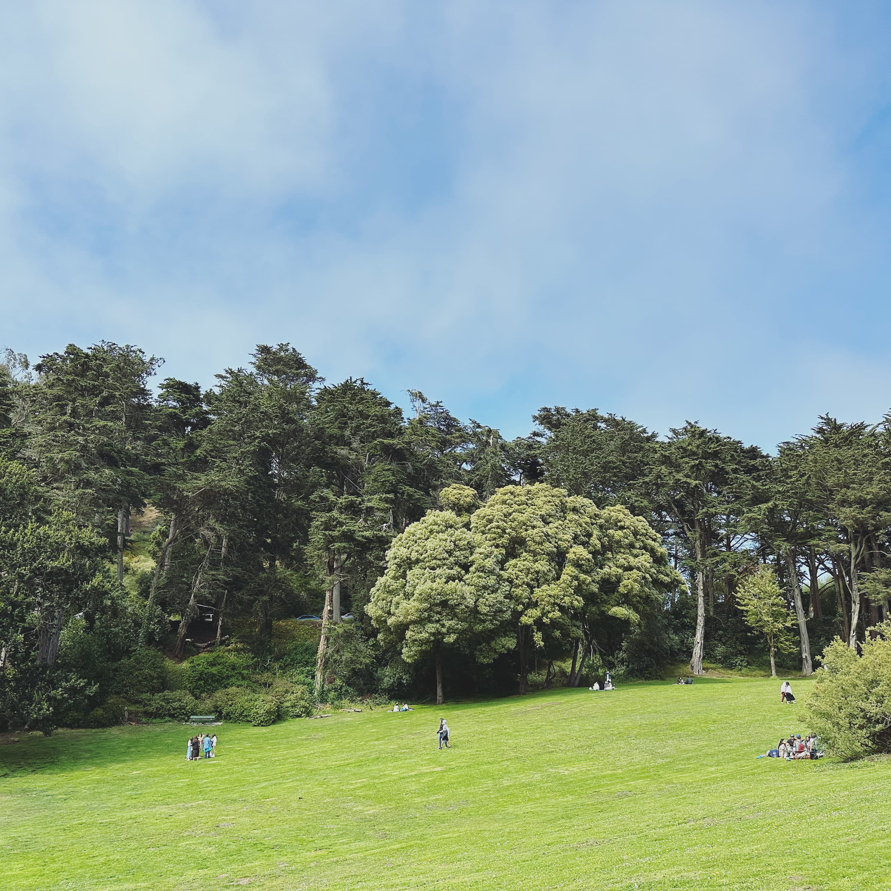 Golden Gate