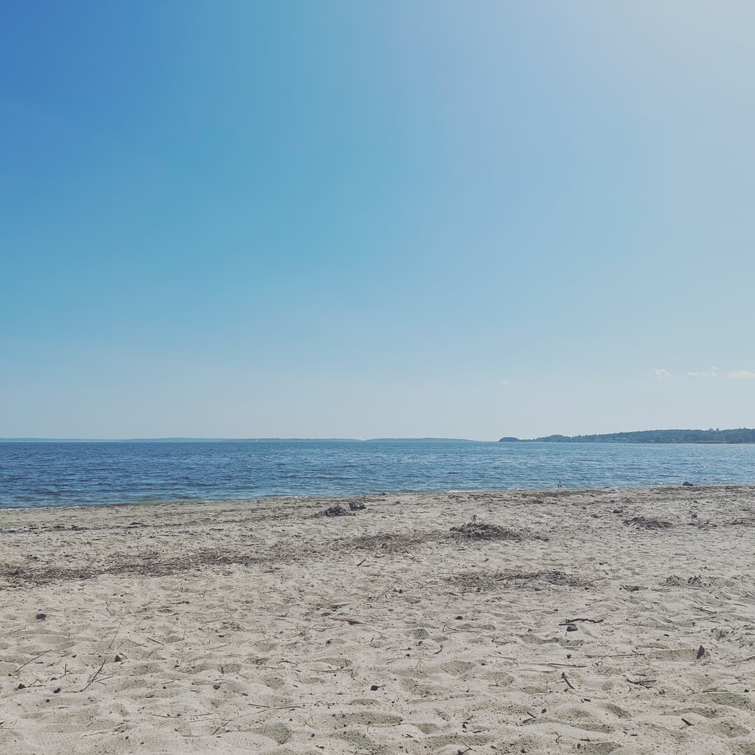 Beach Day